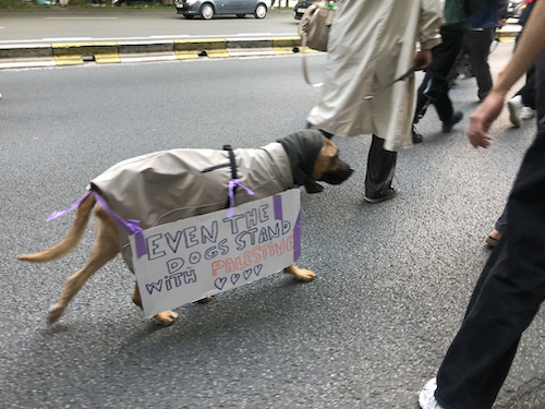 Manifestation